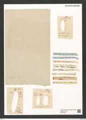 Diatomeae indet. Zeichnungen Sammlung Grunow (NHMW-BOT-W0379699)